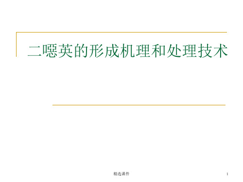 二恶英的形成机理和处理技术