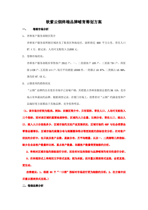 品牌培育专题策划专题方案撰写案例加批注版份