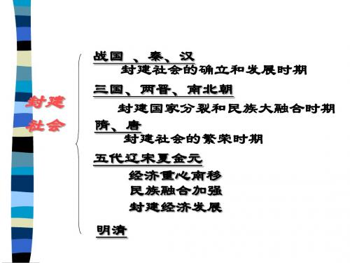 民族政权并立的时代PPT课件3 人教版