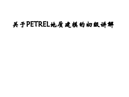 petrel操作指南