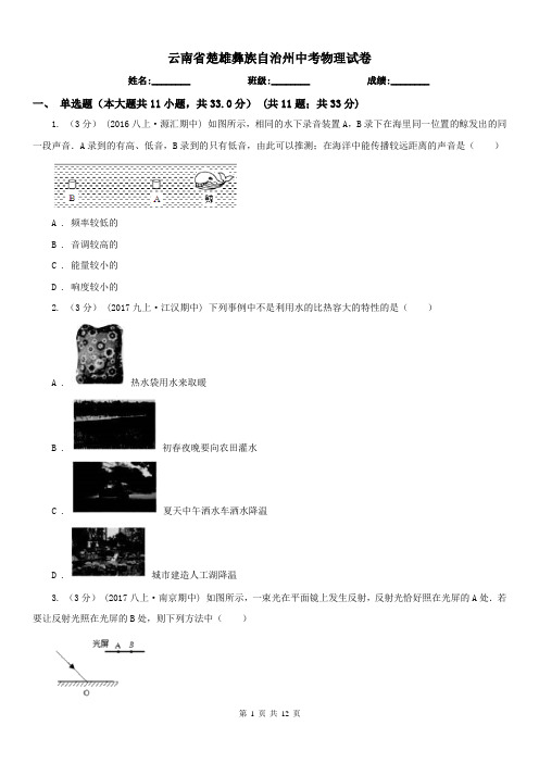 云南省楚雄彝族自治州中考物理试卷