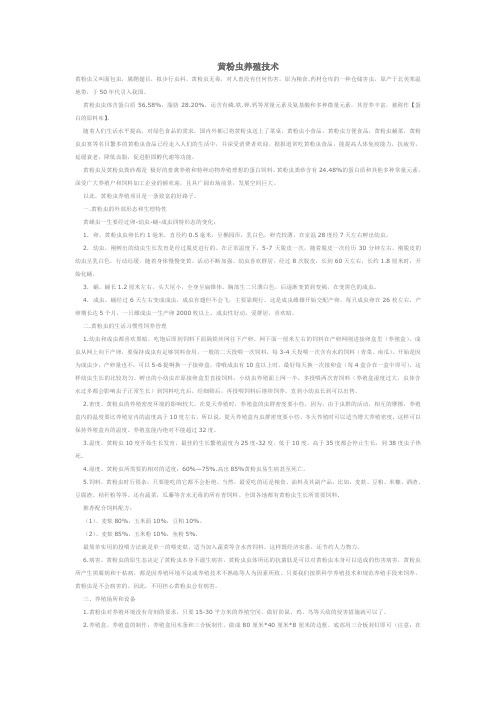 黄粉虫养殖经验
