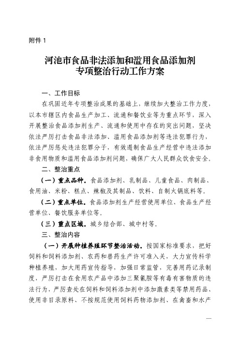 专项整治行动工作方案