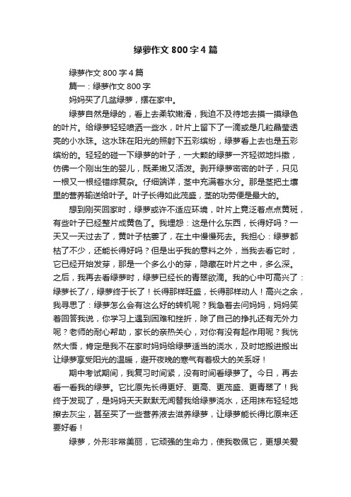 绿萝作文800字4篇