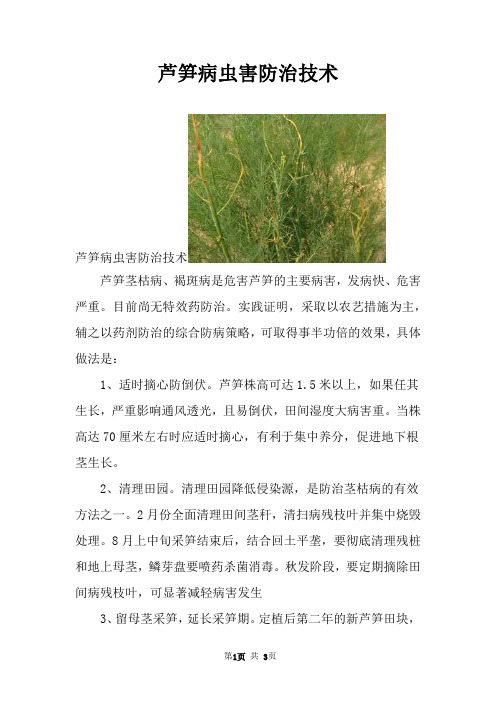 芦笋病虫害防治技术