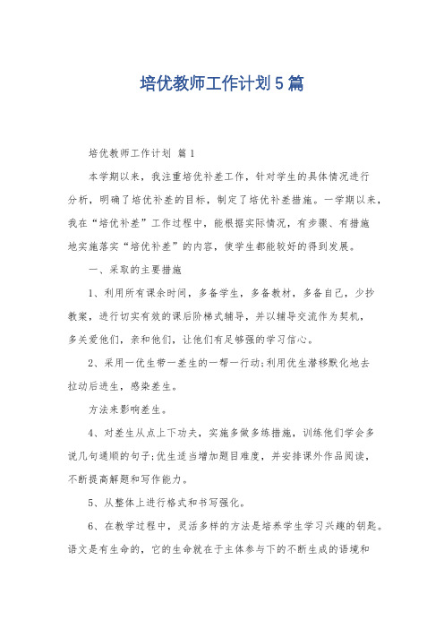 培优教师工作计划5篇