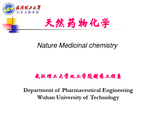 天然药物化学 第1章 总论