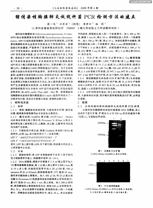 猪传染性胸膜肺炎放线杆菌PCR检测方法的建立