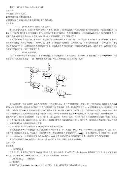 实验一   酵母核糖核酸的分离及组分鉴定1