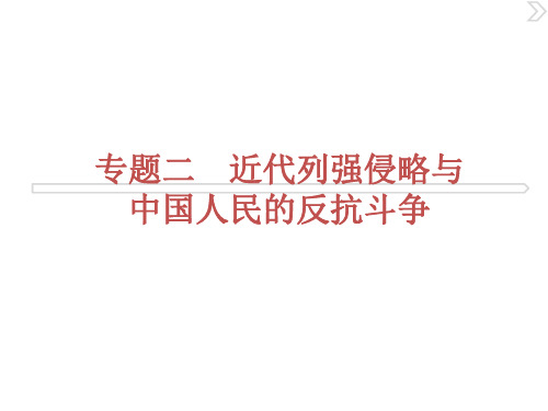 2021届高考历史一轮复习专题二近代列强侵略与中国人民的反抗斗争