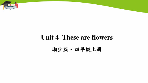 湘少版四年级上册英语Unit 4