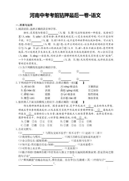 2021年河南重点名校中考考前猜押最后一卷 语文【含参考答案与解析】