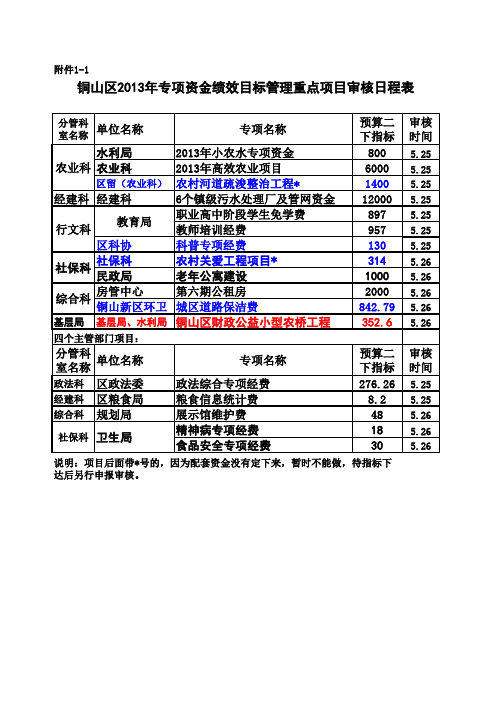 绩效目标管理重点项目明细表