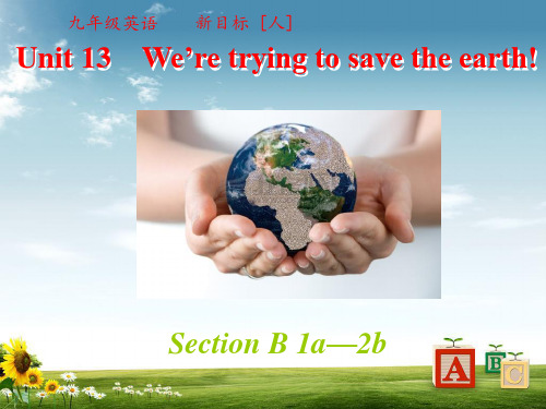 人教新目标九年级英语全册Unit13We’retryingtosavetheearth第3课时课件