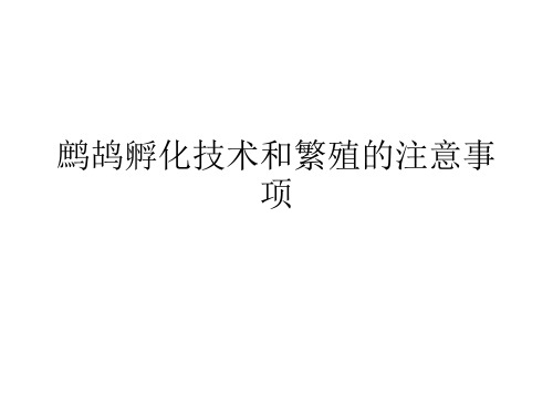 鹧鸪孵化技术和繁殖的注意事项