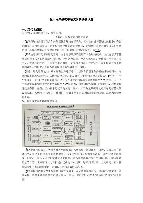 昆山九年级初中语文阅读训练试题