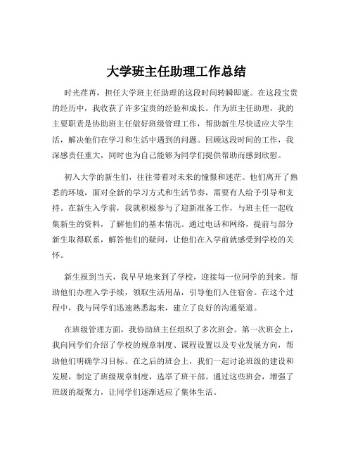 大学班主任助理工作总结