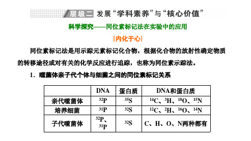 6.1.3同位素标记法在实验中的应用