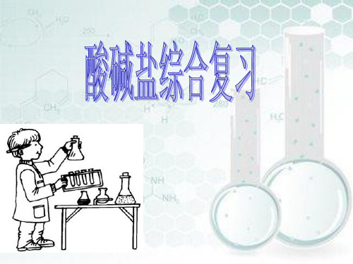 北京课标版九年级下册化学课件《 酸碱盐复习》 (共38张PPT)