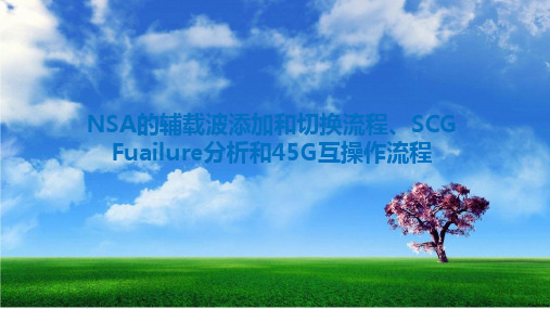 NSA的辅载波添加和切换流程、SCG Fuailure分析和45G互操作流程.ppt