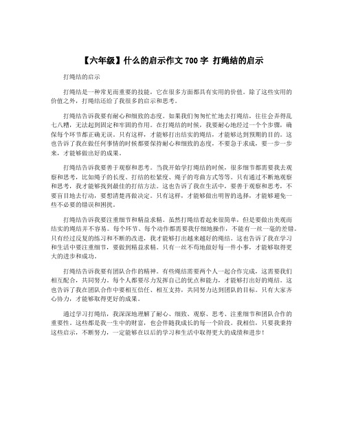 【六年级】什么的启示作文700字 打绳结的启示