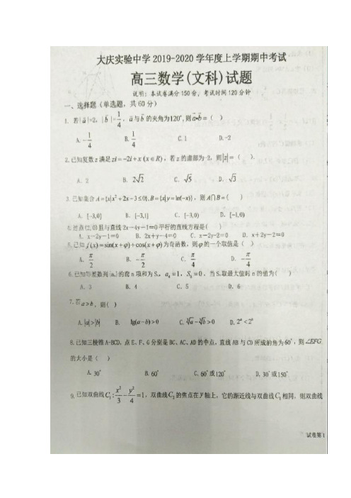 黑龙江省大庆实验中学高三上学期期中考试数学文试题扫描含答案