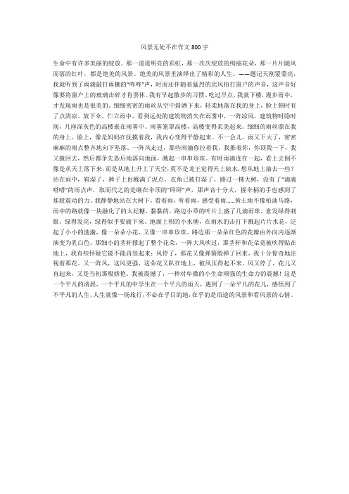 风景无处不在作文800字满分指导版