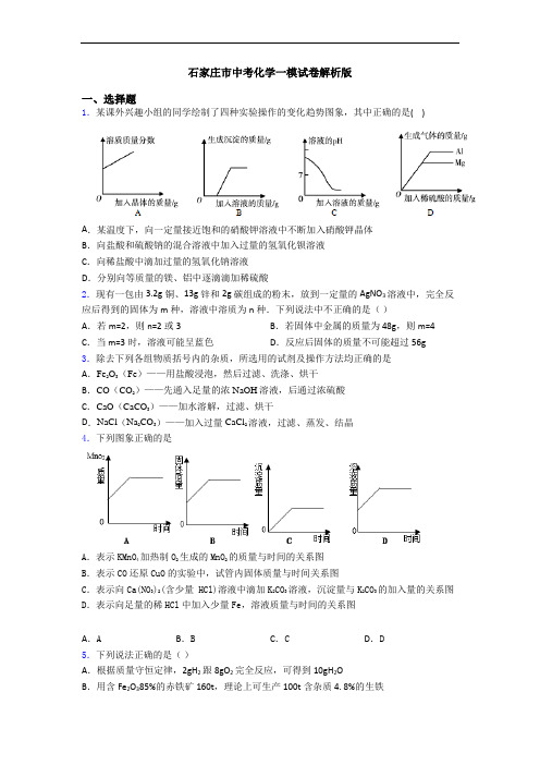 石家庄市中考化学一模试卷解析版