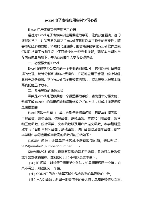 excel电子表格应用实例学习心得