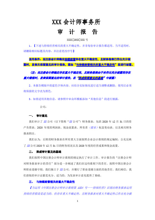 单体与持续经营相关的无保留意见财务报表审计报告