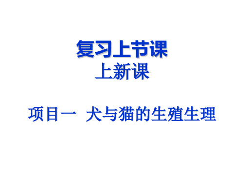 一单元 雄犬雄猫的生殖器官