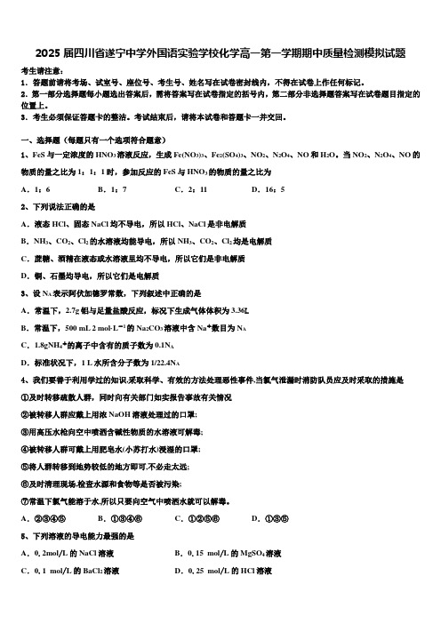 2025届四川省遂宁中学外国语实验学校化学高一第一学期期中质量检测模拟试题含解析