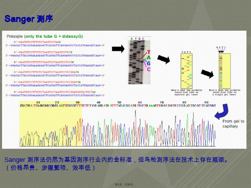 下一代测序技术简介