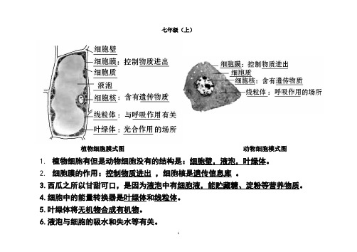 完整版初中生物图专题(附题目)