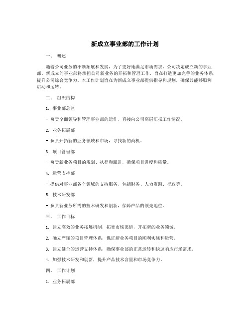 新成立事业部的工作计划