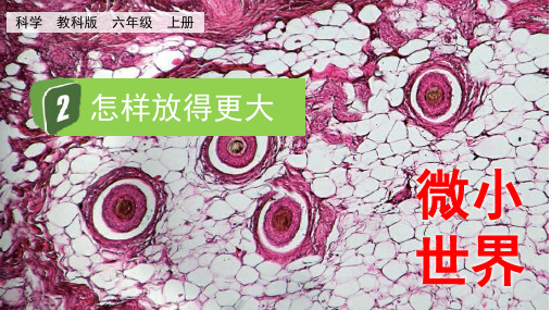 最新教科版小学科学六年级上册《怎样放得更大》优质教学课件