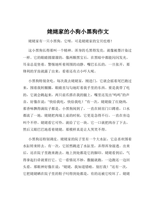 姥姥家的小狗小黑狗作文