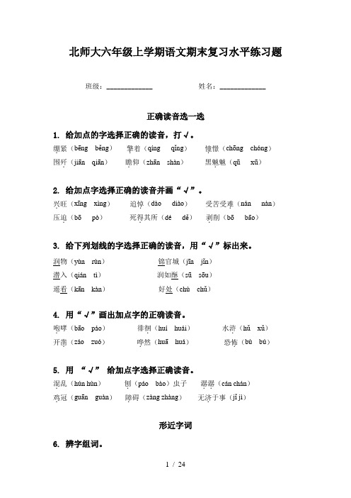 北师大六年级上学期语文期末复习水平练习题