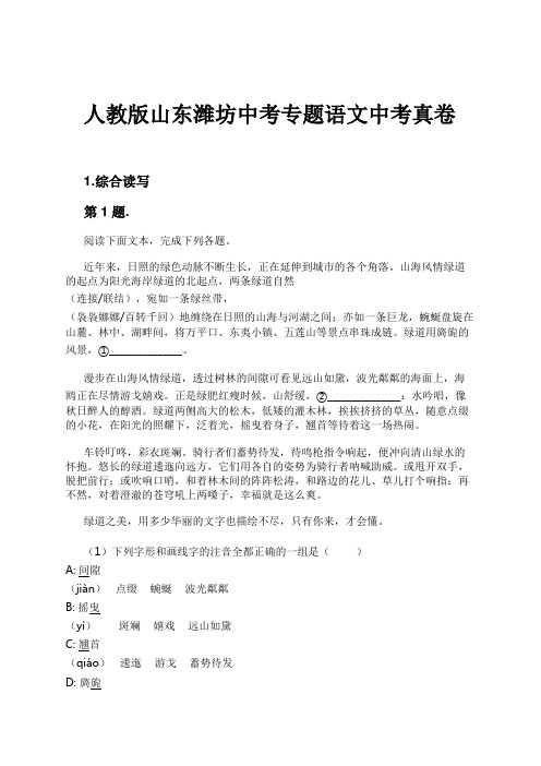 人教版山东潍坊中考专题语文中考真卷试卷及解析