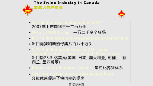 CCSI加拿大种猪育种改良计划PPT教学课件