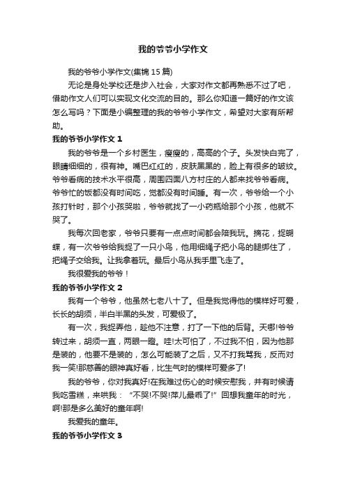 我的爷爷小学作文（集锦15篇）