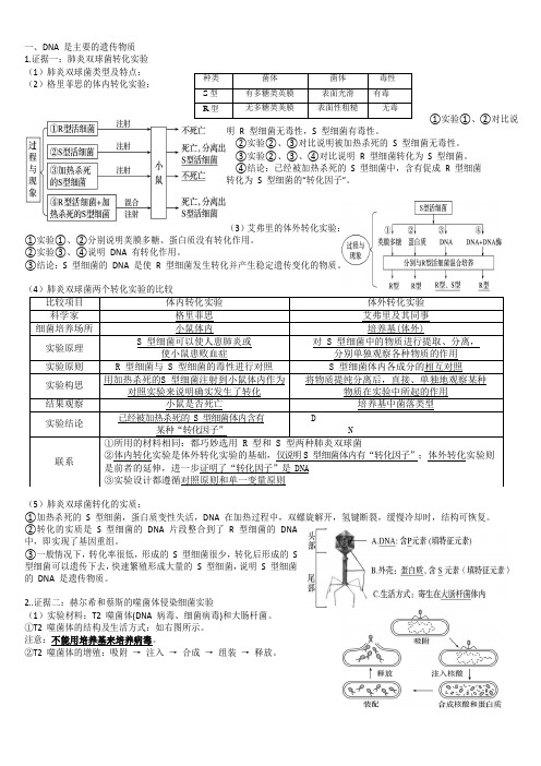 必修2第3章 基因的本质-高考生物一轮复习知识清单