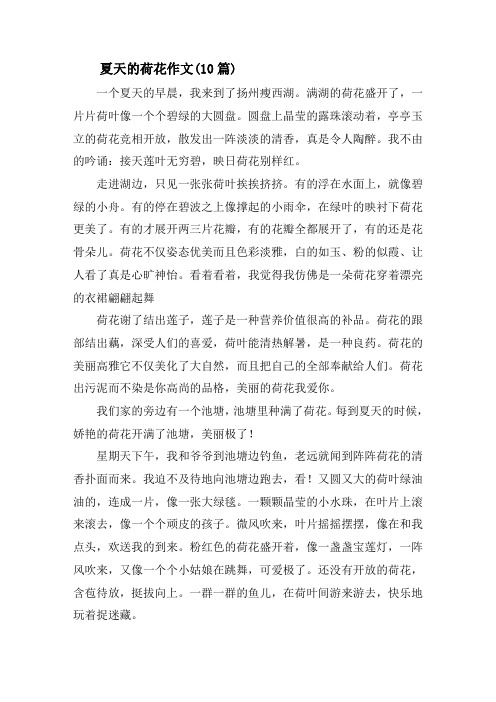 夏天的荷花作文(10篇)精选
