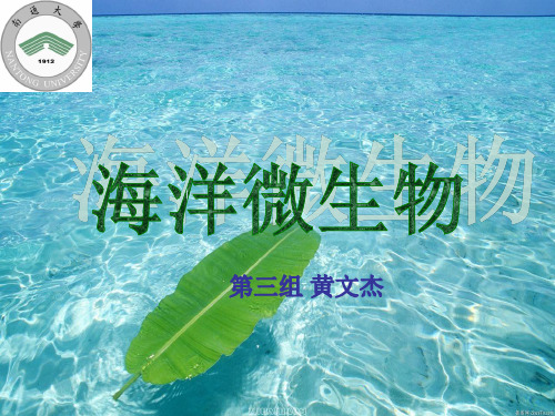 海洋微生物