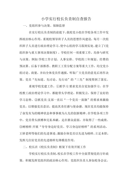 校长负责制自查报告