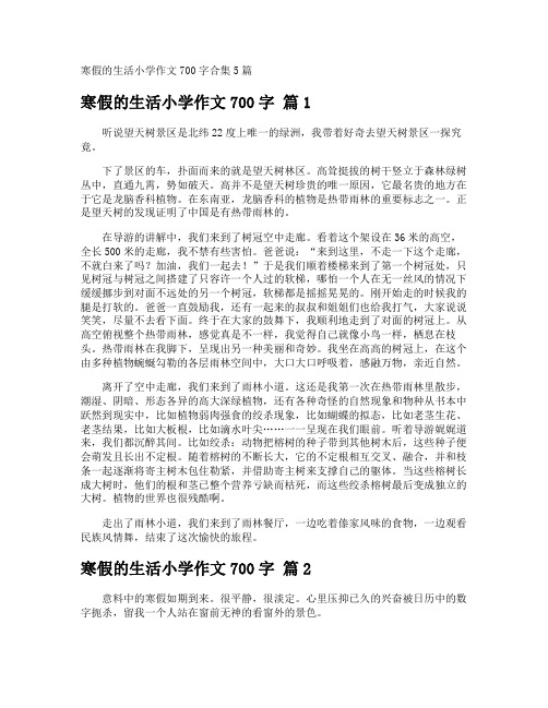 寒假的生活小学作文700字