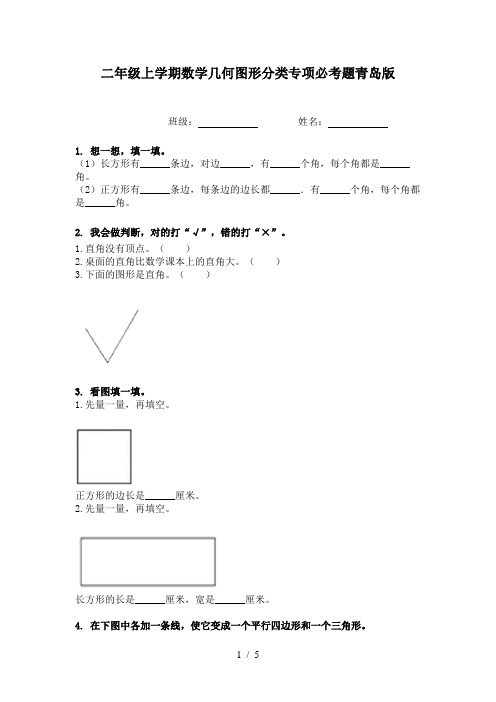 二年级上学期数学几何图形分类专项必考题青岛版