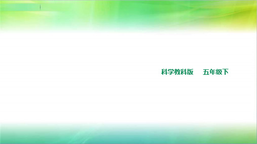 教科版小学科学五年级下册科学4.5北极星“不动”的秘密