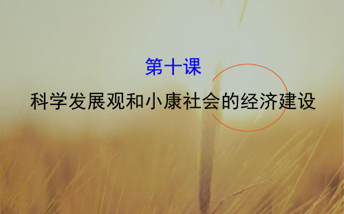 2018年高考政治一轮复习课件：1-4-10科学发展观和小康社会的经济建设 精品