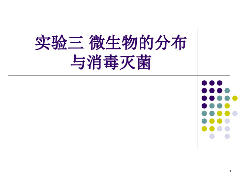 微生物分布与消毒灭菌PPT课件